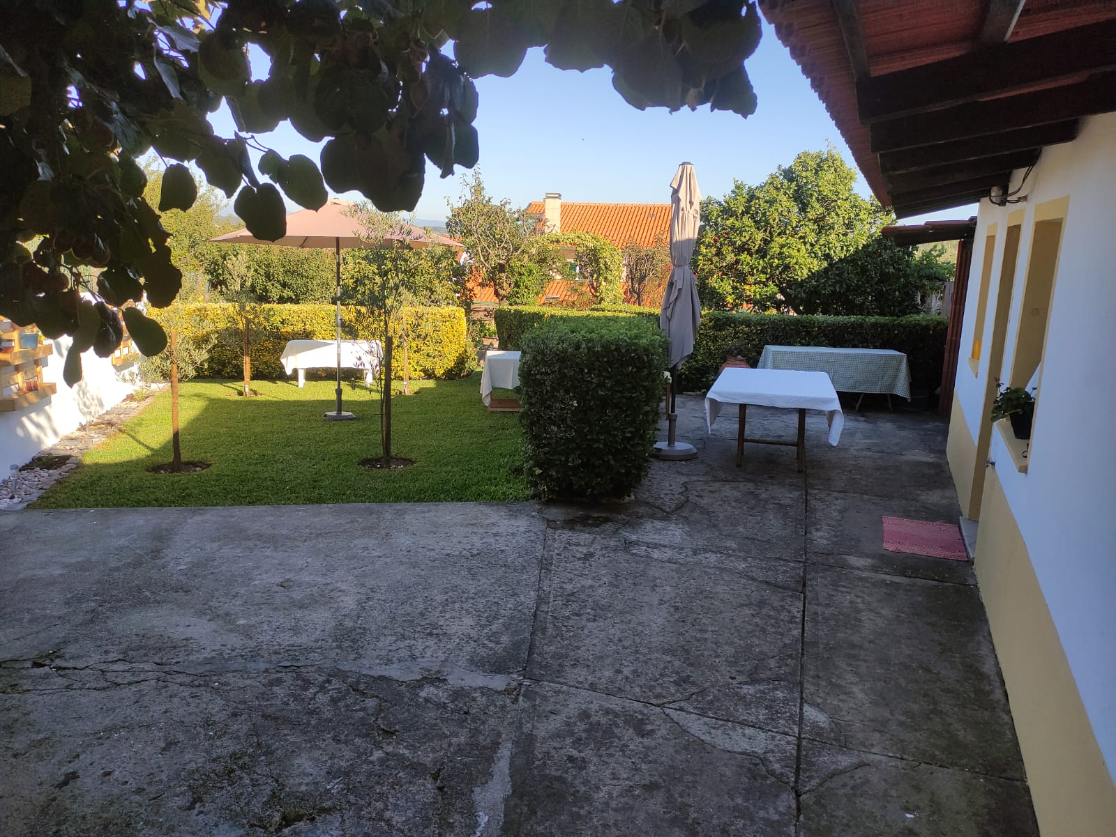 Jardim da Quinta do João à sombra de uma árvore, com mesas postas no pátio