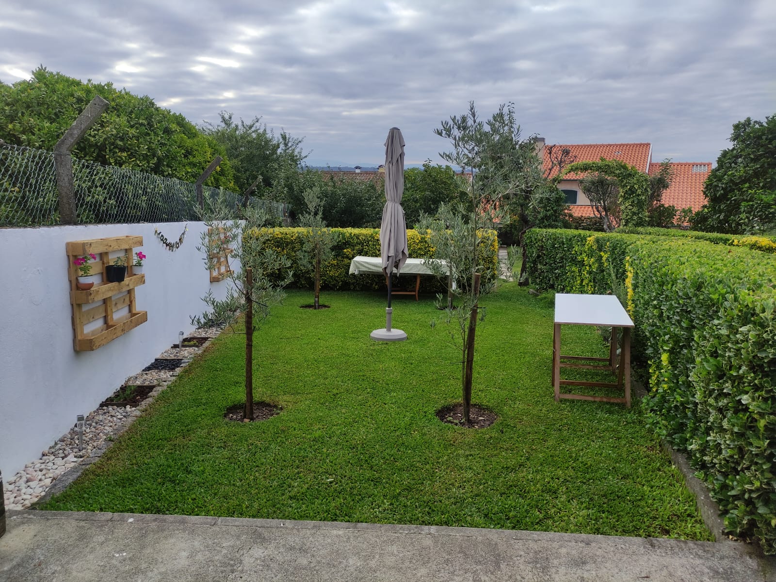 Jardim da Quinta do João com árvores de oliveira e relvado cuidado